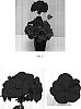 Pelargonium%20x%20hortorum%20%27Balluresion%27