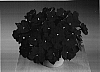 Impatiens%20hawkeri%20%27Fisnics%20Purpink%27