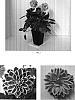 Dahlia%20variabilis%20%27Dapasulo%27