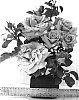 Rosa%20hybrida%20%27WEKsproulses%27