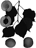 Prunus%20species%20%27Cot-%20N-%20Candy%27