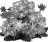 Verbena%20hybrida%20%27Duefarsopi%27