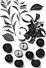 Prunus%20Salicina%20%27Black%20Delight%27