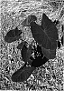Colocasia%20esculenta%20%27Midnight%27