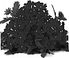 Verbena%20hybrida%20%27Duefarhoro%27