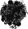 Pelargonium%20peltatum%20%27Free%20Rured%27