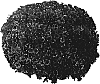 Chrysanthemum%20morifolium%20%27PPP%20CON%20OR05%27