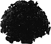 Chrysanthemum%20morifolium%20%27PPP%20POB%20LV05%27