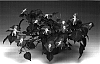 Impatiens%20walleriana%20%27Imtrarestar%27