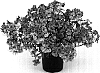 Nemesia%20caerulea%20x%20Nemesia%20strumosa%20%27Kirine-12%27