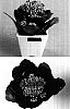 Kalanchoe%20blossfeldiana%20%27Arina%27