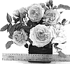Rosa%20hybrida%20%27WEKvossutono%27