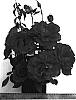Rosa%20hybrida%20%27WEKrigoyelo%27