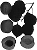 Prunus%20species%20%27Escort%27