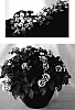 Lantana%20%272003.219%27