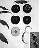 Prunus%20persica%20%27Kay%20Diamond%20VII%27