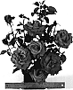 Rosa%20hybrida%20%27WEKvoosun%27