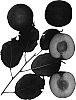 Interspecific%20Prunus%20species%20%27Bella%20Cerise%27