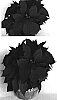 Euphorbia%20pucherrima%20%27Eckanezka%27