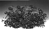 Verbena%20x%20hybrida%20%27Redana%27