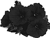 Petunia%20x%20hybrida%20%27Duepotneon%27