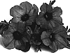 Petunia%20x%20hybrida%20%27Dueswesurlav%27