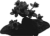 Hypericum%20androsaemum%20%27Esm%20Ora%27
