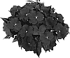 Impatiens%20hawkeri%20%27Tamar%20Amethyst%27