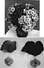 Begonia%20x%20hiemalis%20%27Gideon%27