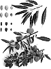Prunus%20dulcis%20%27Capitola%27