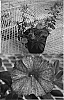 Calibrachoa%20sp.%20%27Sunbelsoil%27