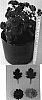 Chrysanthemum%20x%20morifolium%20%27Kistar%20Dark%27