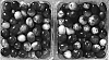 Vaccinium%20macrocarpon%20Ait%20%27CNJ97-105-4%27