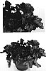 Heuchera%20hybrida%20%27PWHEU0109%27