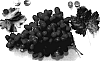 Vitis%20vinifera%20%27cv.%20Mara%20Seedless%27