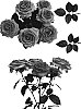 Rosa%20hybrida%20%27Esm%20Alandaluz%27