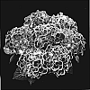 Hydrangea%20hybrida%20%27Agrihydraeen%27