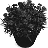 Dianthus%20caryophyllus%20%27Faganza%27