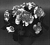 Begonia%20x%20hiemalis%20%27BBTAM%27