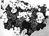 Pelargonium%20peltatum%20%27KLEPP07195%27
