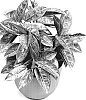 Aglaonema%20hybrid%20%27TWYAG0054%27