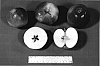 Malus%20domestica%20%27Beller%27