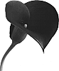 Zantedeschia%20spp.%20%27Hot%20Cherry%20BLZ%27