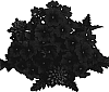 Verbena%20hybrida%20%27Duempdared%27