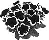 Petunia%20x%20hybrida%20%27Fort%20Improburgpic%27