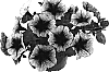 Petunia%20%20x%20hybrida%20%27Fort%20Purple%20Vein%27