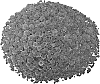 Chrysanthemum%20morifolium%20%27PPP%20NAV%20RD07%27