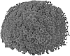 Chrysanthemum%20morifolium%20%27PPP%20OLW%2007%27