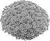 Chrysanthemum%20morifolium%20%27PPP%20RHN%2007%27