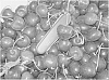 Prunus%20avium%20%27PC8007-2%27